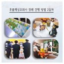 우아한장례