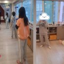 프리스타일 이미지