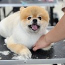 수원-0591 이미지