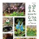 풀꽃이야기 이미지