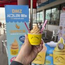 평화정비 | [파주] 현장 예약으로 다녀온 DMZ 평화관광 후기｜제3땅굴·도라전망대·통일촌