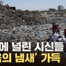 (자막뉴스)"냄새때문에 죽을지경"시신도 쓰레기도 쌓인 지옥(가자지구) 이미지