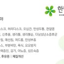태백당한의원 티스토리