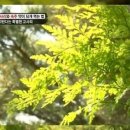 한솔약국 이미지