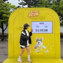 우일전기 | 여름이란 무얼까