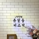 1974유달동미스박 이미지
