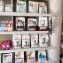 보담동물병원 이미지