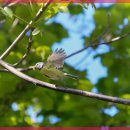 자연미소치과 이미지