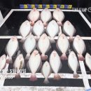 팀인천 루키나호 네이버블로그