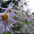 구월의정원