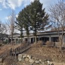 11650-11-68-4 | 강원도 홍천단체펜션 노루목68에서 완벽한 가족 여행 후기