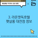 라온캣독 호텔 대전점 티스토리