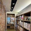 이든펫스파 이미지