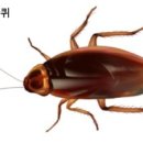 하나방역경기서부지사