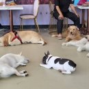 예당 앤 다울 이미지