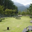 작천정달빛야영장 이미지