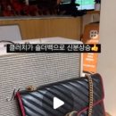 비니브로 이미지