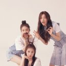 톱제화 이미지