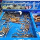 가락유통 이미지