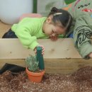 하리 농장 이미지