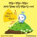 진심 - 제주시 오복4길 24 | 진심