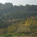 광교갤럭시공인중개사사무소 | 광교 부동산 전문가와 함께한 단지 탐방, 솔직한 후기