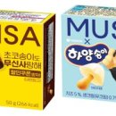 송이패션 이미지