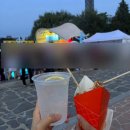 2025 DMZ 피스트레인 뮤직 페스티벌 후기(토요일 방문, 인근 맛집 추천)