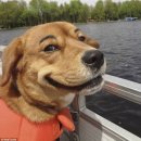 클레르바이주 이미지