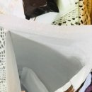 정직한마음약국 | ( 향남 소아과 ) 향남 어린이 약 전문 정직한마음 약국 추천! 차 메디컬센터의원 진료 솔직후기