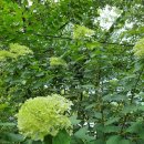 백운안길 이미지