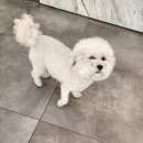 석곡리 1842 이미지