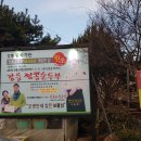 강릉짬뽕순두부동화가든 이미지