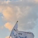 부두식당 | 신화월드 맛집 대방어 맛집 모슬포 부두식당후기 방어축제