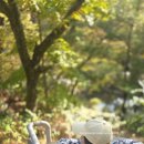 씨유 제주고내올레점 | 제천 리솜 해브나인 스파, 산책로,카페 이용후기(부대시설 포함)