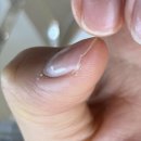 내적유희 이미지