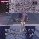 경민축산 | 7월 셋째주 요야아악