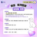 24시 아이동물메디컬센터 이미지