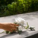 현대장의사 이미지