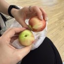제우스팜 | [아랍에미리트🇦🇪] 1게시물로 끝내는 5박 7일 여행기