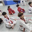 신강호 태권도 이미지