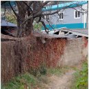 율리영해1길 이미지