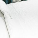 로제스 풀빌라A 이미지