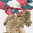 평촌나무동물병원 이미지