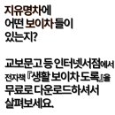 지유명차 이미지