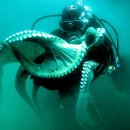 38마린리조트 이미지