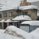 섬나라하얀집 이미지