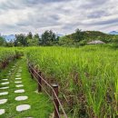 생태터널입구 이미지