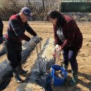 선동농장 이미지