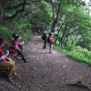 양묘장약수터 이미지